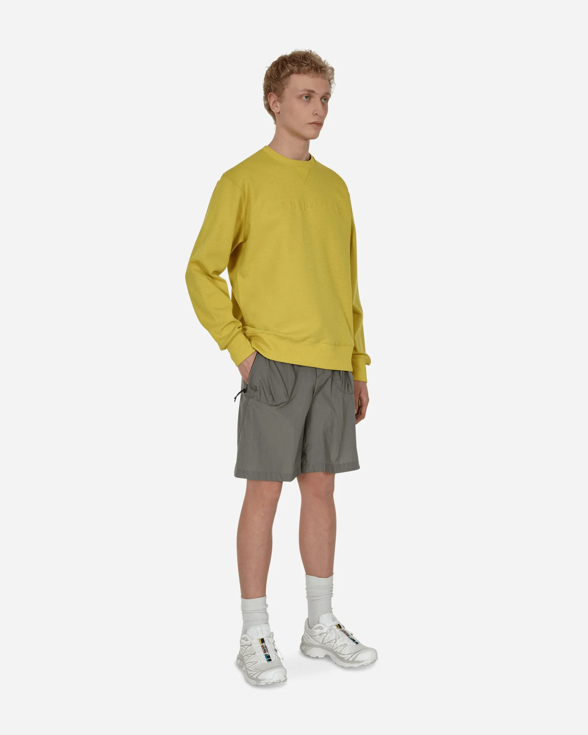 Portage Shorts Grau