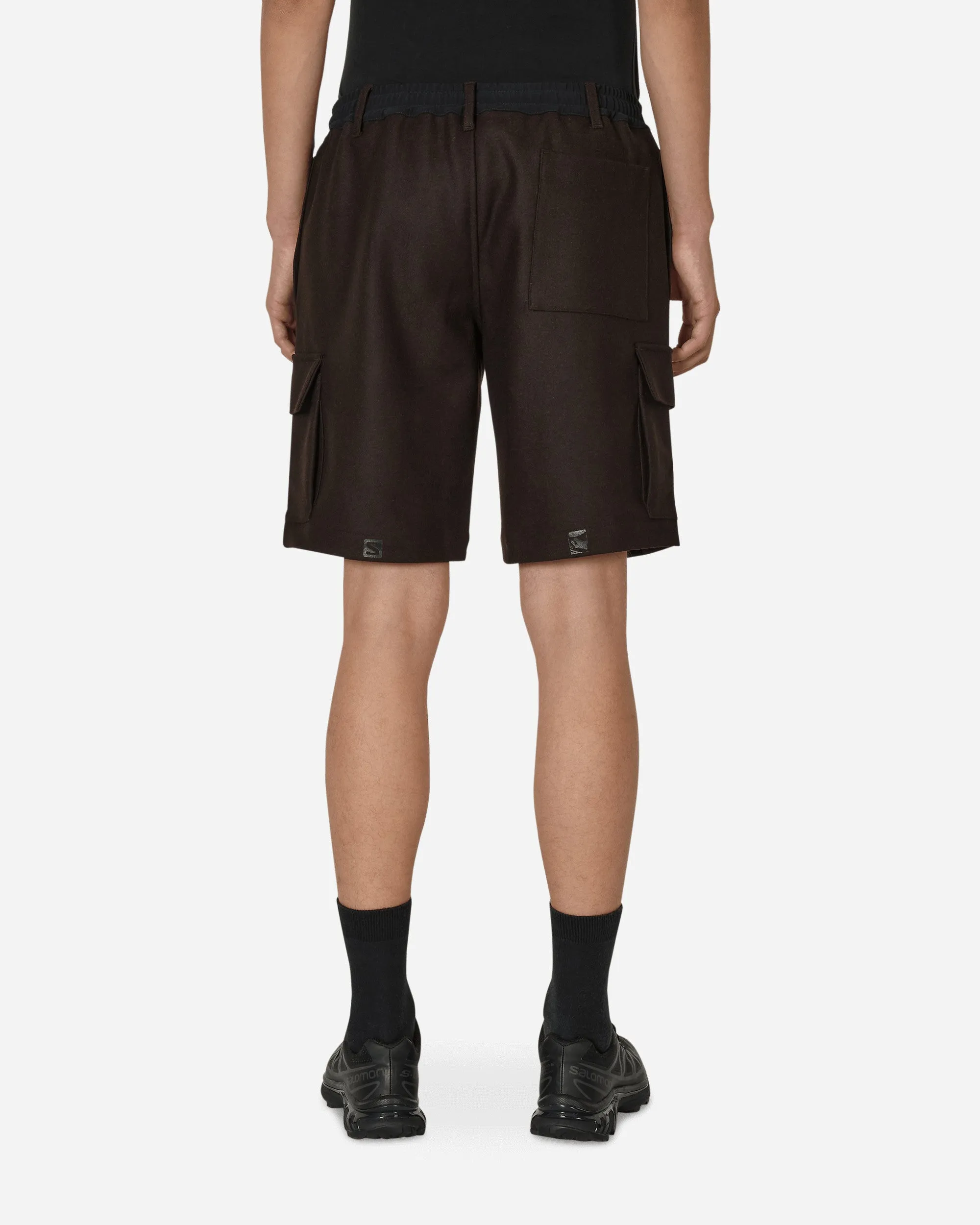 Salomon Panno Utility Shorts Braun