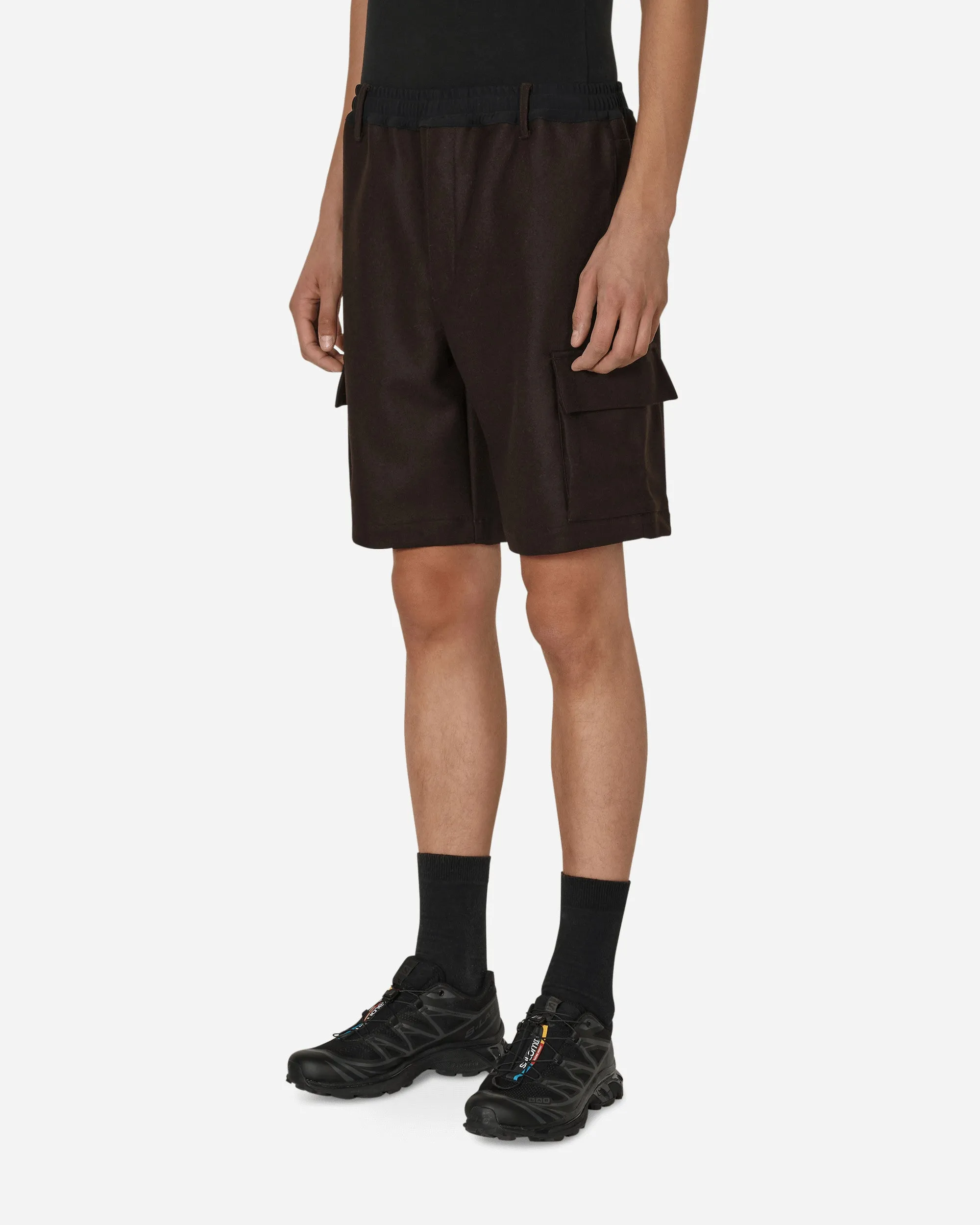 Salomon Panno Utility Shorts Braun