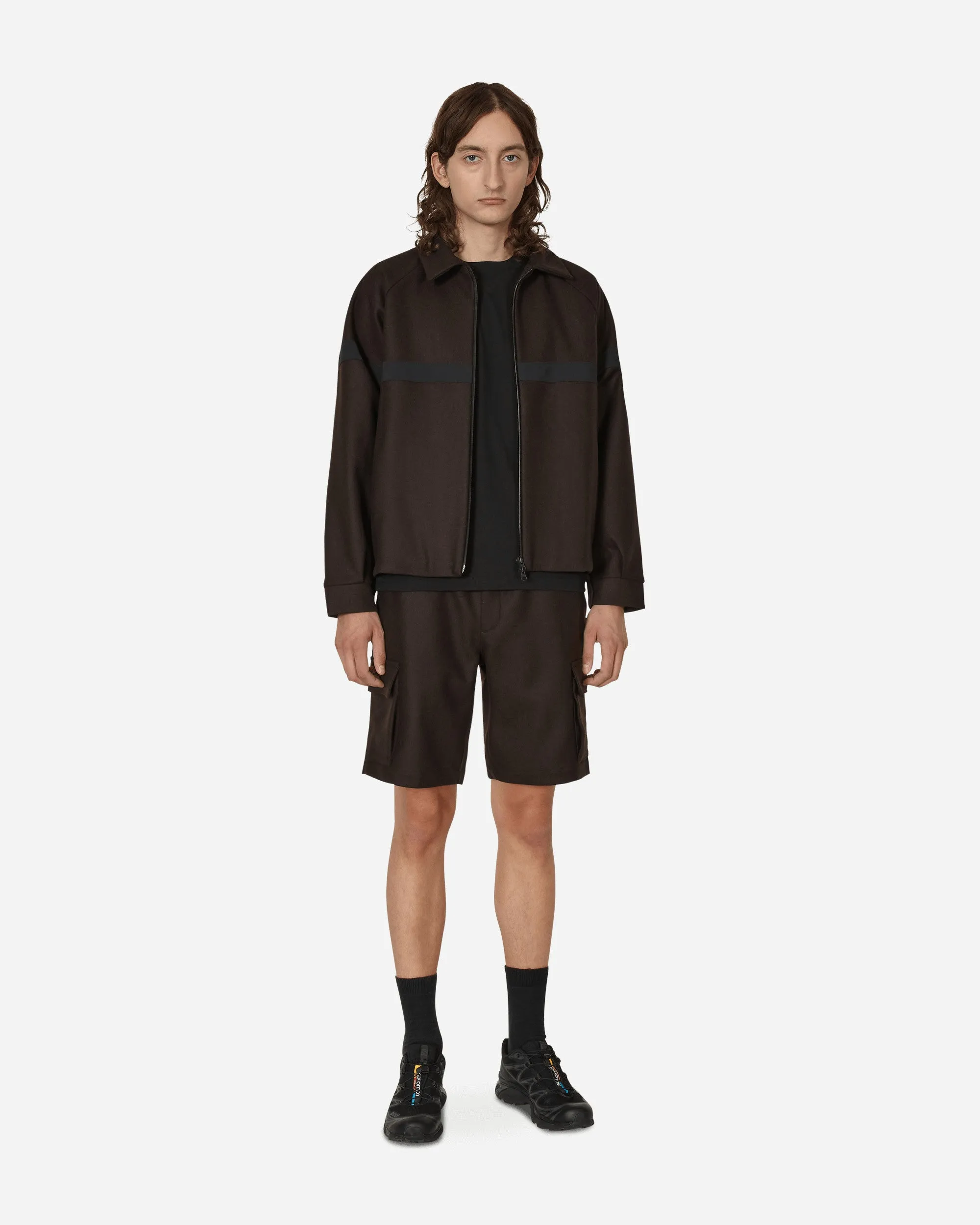 Salomon Panno Utility Shorts Braun