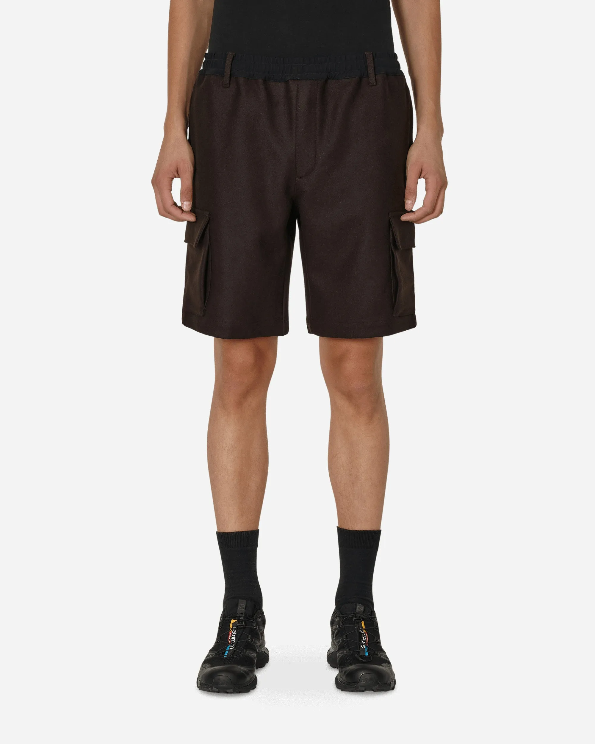 Salomon Panno Utility Shorts Braun